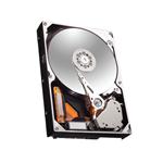 Seagate HDST31000520AS