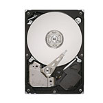 Seagate ST3160021AS
