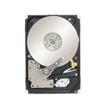 Seagate ST91000642SS