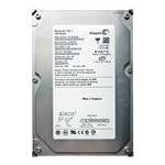 Seagate ST3120026AS