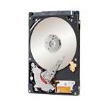 ST1000VT000 Seagate SpinPoint 1TB SATA 3.0 Gbps Hard Drive