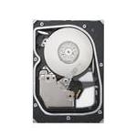 Seagate ST360002SS