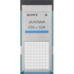 Sony AXS-A256S24