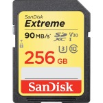 SanDisk SDSDXVF-256G-GNCIN