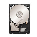 Seagate ST32000446SS
