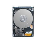 Seagate ST980210AS