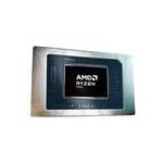 AMD 100-000000969
