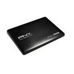 PNY P-SSD2S256GM-CT01RB