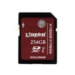Kingston SDA3/256GB
