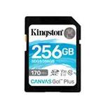 Kingston SDG3/256GBCR