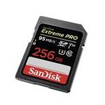 SanDisk SDSDXXG-256G-GN4IN