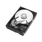 Seagate ST3160211A