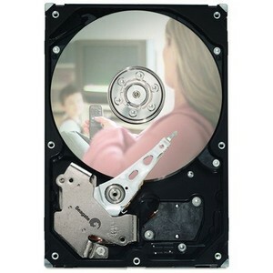Seagate ST380215SCE-20PK