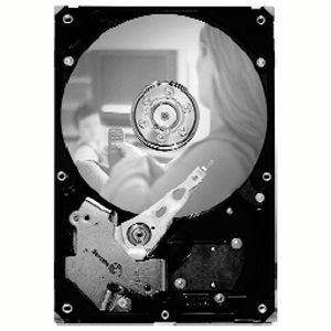 Seagate ST3250820AV-20PK