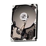 Quantum D8383-69001