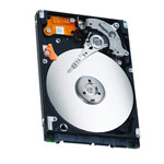 Seagate ST9120821AS-RK