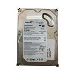 Seagate 9BD112-304