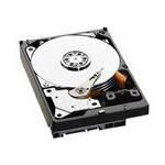 NetApp INT-HDD-250