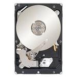 Seagate ST1000NM0023DEL