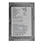 Seagate ST3160022ACE