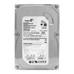 Seagate ST3160815SV