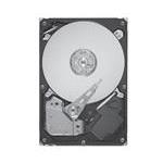 Seagate 9W2114-000