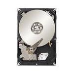 Seagate ST2000NM0055
