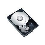 Seagate ST3160212ACE-NDW-RC