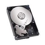 Seagate ST3160826AS