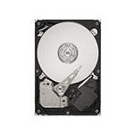 Seagate ST320312AS