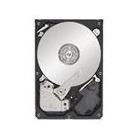 Seagate ST32505820AS