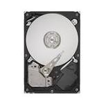 Seagate ST500DM000