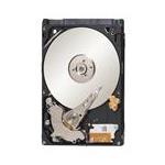 Seagate ST9160822AS