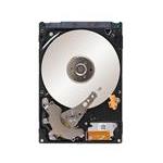 Seagate ST960821AS