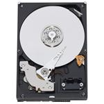 Western Digital WD2500AAKS-00L6A0