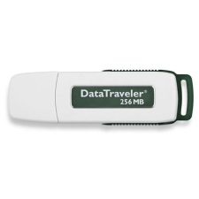 Kingston DTI/256