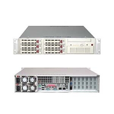 SuperMicro SYS-6024H-32RB