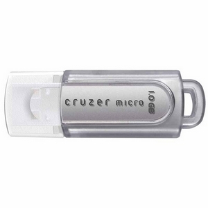 SDCZ4-1024-A10 SanDisk Cruzer Micro Skin 1GB USB 2.0 Flash Drive