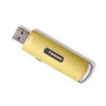 Transcend TS128MJF110