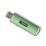 Transcend TS256MJF110