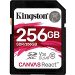 Kingston SDR/256GB