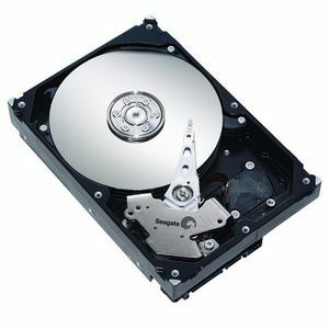 Seagate ST3160811AS-5TPK