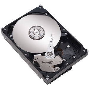 Seagate ST3160215A-25PK