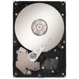 Seagate ST3160215AS-20PK