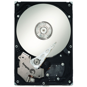 ST3750640NS-20TPK Seagate Barracuda ES 750GB 7200RPM SATA 3Gbps 16MB Cache 3.5-inch Internal Hard Drive (20-Pack)