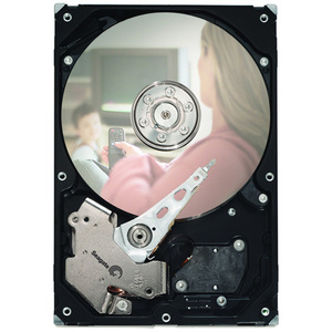 Seagate ST31000533CWS