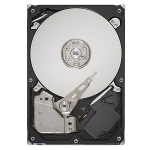 Seagate ST31000333AS-20PK