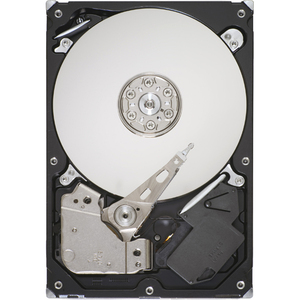Seagate ST3160318AS-20PK