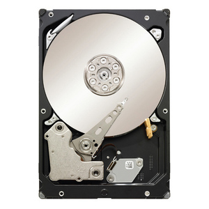 Seagate ST32000644NS-20PK