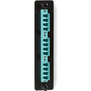 Black Box JPM456C